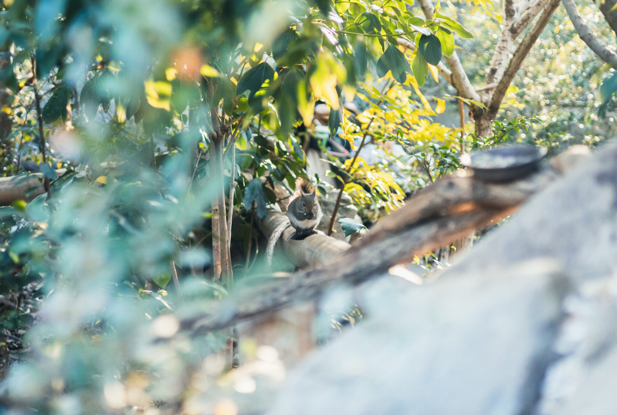 Will Style Inc.｜神戸にあるウェブ制作会社